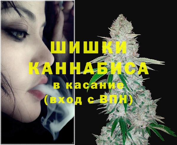соль ск Михайлов
