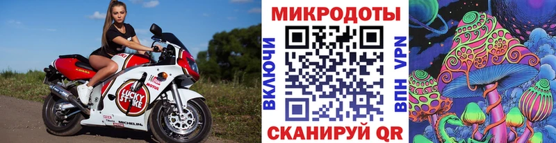 Купить закладки  Новоржев  Псилоцибиновые грибы Cubensis 